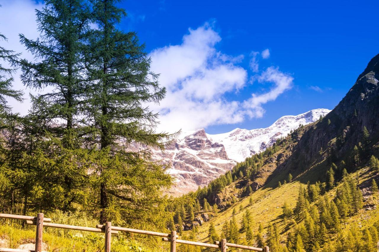 Alta Luce Mountain Lodge Gressoney-la-Trinité Exteriör bild